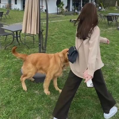 密爱