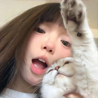虎将艳奴蛮公主